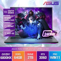 ASUS ROG STRIX G17 G713RM-LL181 라이젠7-6800H RTX3060 윈도우11프로, WIN11 Pro, 64GB, 2TB, AMD, 이클립스 그레이