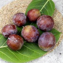 국산 생 푸룬 생과 서양 자두 프룬 ( 생과 or 건자두 or 말린자두 ), 1개, 국산 푸룬 생과 2kg