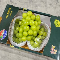 [농장직송] 프리미엄 샤인머스켓 고당도 망고포도 선물세트, 샤인머스켓 2kg (2-3수), 1박스