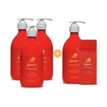로아니스 프로틴 헤어트리트먼트 500ml 3+1개 + 여행용 키트 7매입
