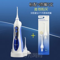 파나소닉 전동 제트워셔 EW-1211A 구강세정기 추가노즐2개 1set, EW1211 기본+추가노즐 2개(총 4개)
