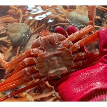 [산지직송]울진 자연산 수율보장 80% 수율 구룡포 홍게 홍개 홍게찜 홍개찜 주문진 후포항 동해 강릉 대게찜 대개찜 포항대게 포항대개 제이블릭 제철홍게 울진 후포리 죽도시장 택배, 수율 80% 이상(9KG)