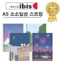 아이비스 오늘 하루 스프링 노트 11390 A5, 랜덤발송, 2개