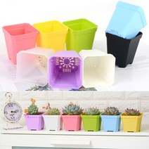 골든트리 칼라 사각 플라스틱 미니 화분 다육화분 실내화분, 대 - 블루