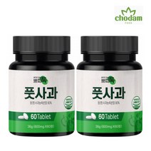 풋사과 애플페논 가루 사과초모효소 식초 분말 폴리페놀 풋사과정 추출물 2통