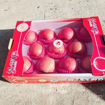 밀양 얼음골사과 5Kg, 얼음골사과 (15과)