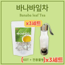 바나바추출물 100% 삼각티백 물병 물대신 마시는 차 전용 거꾸로물병 포함 40대 50대 60대 중년 중장년 어머니 아버지 BANABA LEAF 전통 침출차 구수한 식사 전 후