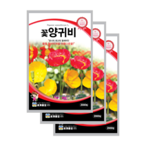 꽃 양귀비 씨앗 2000립 3봉 개양귀비 종자 노지월동 다년생 꽃씨 shirley poppy, 4봉