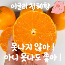 [우리농가돕기] 제주 못난이 천혜향 가정용 실속형 2kg 4kg 혼합과, 못난이 천혜향 2kg (과수랜덤)