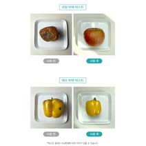 웰로스 올퓨 냉장고 선반 매트 항균탈취 특허패드 쓱 깔기만 하면 냉장고 청소 NO 냄새 NO 세균 냄새 NO, 03_30매 1세트