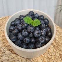방씨아들 국내산 수입산 생과 블루베리 생 블루베리 왕특(16-18mm), 2개