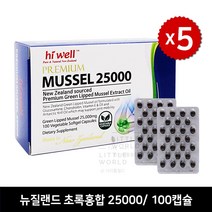 뉴질랜드 관절영양제 하이웰 초록입홍합오일 남극크릴오일 25000 100캡슐 x5 선물추천 글루코사민 콘드로이친, 100캡슐 x 1, 초록홍합오일 25000 (크림오일함유)