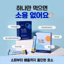 VHxP 비타민하우스 The 시원한 아마씨 효소 (30포), 60포/4.5g