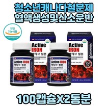 임신철분 철분제 푸마르산제일철 철분 영양제 x2박스 임신전 임신후 먹기좋은 철분영양제 캡슐형 혈액생성 필요 체내 산소운반 철 푸마르산제일철 임산부철분제 임신초기 임신중기 철분재