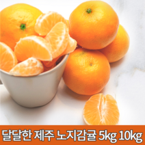 제주귤10키로 껍질얇은귤 제주 감귤 10키로 5키로 저농약귤 서귀포 맛좋은감귤 노지귤10키로 당도높은귤 싱싱한 꼬마귤 못난이 풋귤 로얄과 중대과 5kg 10kg, 감귤 5kg 중대과