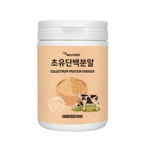 에너데이 초유단백분말100% 230g 초유단백질분말 가루 초유프로틴 고단백 IgG 면역글로불린G 면역력 모닝초유 영양보충, 1세트, 230gx2통