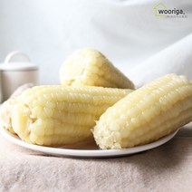 우리가스토리 탱글탱글 백찰 냉동 삶은 찰옥수수 24개(18~20cm 내외), 1박스, 7.9~7.8kg(24개)