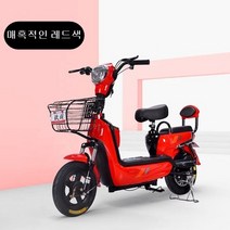 2인용전기자전거전동스쿠터, 우아한백색