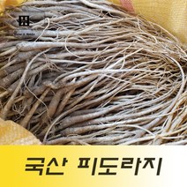 국산도라지 1kg 흙도라지 피도라지 껍질도라지, 1000g