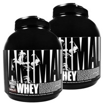 유니버셜뉴트리션 애니멀 머슬 푸드 웨이 프로틴 초콜릿 단백질 보충제, 1.81kg, 2개