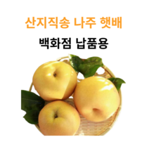 [농부마음] 나주 산지직송 나주 꿀 배 3kg 5kg 7.5kg 15kg 명절 과일 선물용 & 가정용 햇배 신고배 선물 세트, 1box, 01. 3kg 나주햇배 (대형마트납품용)