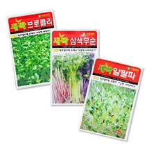 와이쇼핑 소독되지 않은 새싹씨앗 21종 새싹재배, 10)들깨, 1개