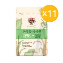 백설 하얀 자일로스설탕, 500g, 11개