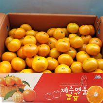 산지직송 제주도 서귀포 고당도 극조생감귤 제주 프리미엄 명품 감귤 가정용 새콤달콤 신선한 귤, 중대과(L-2L) 3kg, 1개