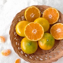 제주하우스귤 하우스감귤 하우스밀감 풋귤 5kg 고당도 산지직송 제주도하우스귤 제주귤 시아프룻, 10kg