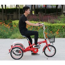 어른 세발자전거 엄마 어른용 중년 할머니 효도선물, S타입 블랙