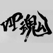 오토바이 자동차 VIP혼 한자 반사 홀로그램 스티커 데칼 커버 휠라인 스쿠터 스크래치, 골드유광&무광 S