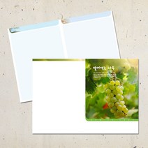 계절 디자인 주보용지 교회 순서지 예배 주보지 안내지 청년부 주일학교 교회행사 성경학교 맥추 추수감사 성탄절 사순절, EA-35