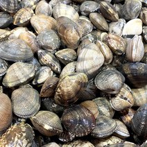 산지직송 싱싱한 국산 남해 깐바지락살(냉동) 250g x 2팩/4팩 조개탕 바지락 칼국수 된장국 조개구이, 250g x 4팩