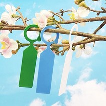 식물이름 물주는 시간 메모 화분꽂이 가지걸이 이름표 가든픽 20p