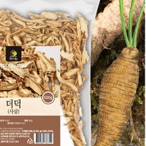 국내산 사삼 말린 더덕 국산더덕 건 더덕 깐더덕 500g, 1개