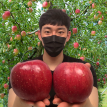 보조개 아리수 홍로 청송 감홍 부사 안동 못난이 사과 중과 5kg 선물용 제사 제수용