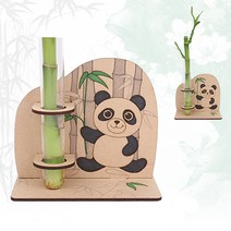MDF 팬더곰 개운죽 키우기, 1인용 개별포장