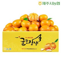 제주시농협 노지감귤 4.5kg 로얄과 2S-M(실중량), 단품