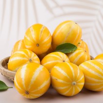 성주 산지 직송 꿀 참외 3kg 5kg 10kg 가정용 정품 직거래 박스 못난이 소과 로얄과 중과 박스포장, 1_1. 가정용 참외 2kg(6-12과)