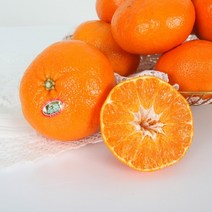 킹호연지기레드향 3kg 1416과 제주 감귤, 상세페이지 참조, 상세페이지 참조