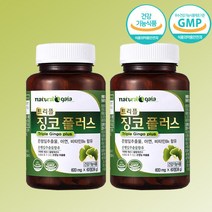 트리블 징코 플러스 4개월분 은행잎 추출물 아연 비타민B6 혈행개선 기억력개선, 단품, 단품