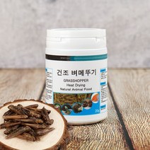 열풍건조 벼메뚜기 20g 소동물 앵무새 고단백질 간식