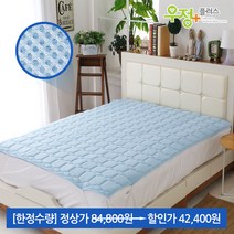 [한정수량]우정플러스 쿨매트, 7.[한정수량]3D 매쉬 쿨매트 스카이 더블(베개없음)