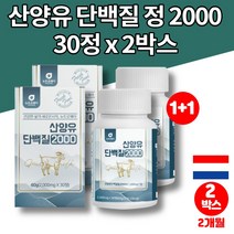운동후 코스트코 40대 50대 60대 어르신 동물성 씹어먹는 산양유 단백질 보조제 알약 단백질 보충제 면역글로불린 프로테인 밀크 칼슘 분리유청단백, 2박스