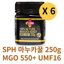 SPH 뉴질랜드 마누카꿀 MANUKAHONEY 효능 MGO 550 UMF16 250g, 마누카꿀 6병