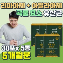 단백질 탄수화물 지방 분해 효소 특허 바이오 유산균 미숫가루맛 프락토올리고당 임산부 장내가스 신 프리바이오틱스 유해균 억제 바이오박테리움 비피덤 롱검 락티스 락토바실러스 복합물