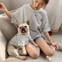애견 커플룩 스트라이프 반팔 티셔츠 개플룩 견주 댕플룩 산책룩 반려견 여름 티셔츠, 옐로우