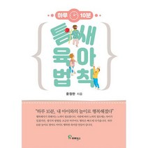 틈새 육아 법칙 : 하루 10분 내 아이와의 놀이로 행복해졌다, 도서