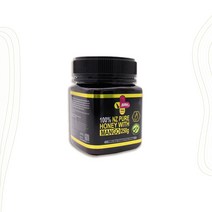 굿소일직구 SPH 프리미엄 퓨어 뉴질랜드 천연 벌 꿀 허니 망고향 250g, 청정 뉴질랜드에서 채취한 달콤한 꿀
