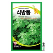 식방풍 300립 / 식방풍씨앗 식방풍씨 종자 토속나물 주말농장 베란다텃밭